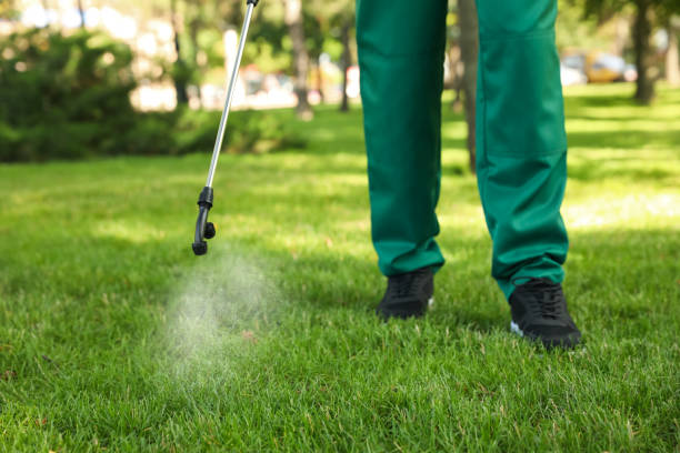 Professional Pest Control in Washington, WV