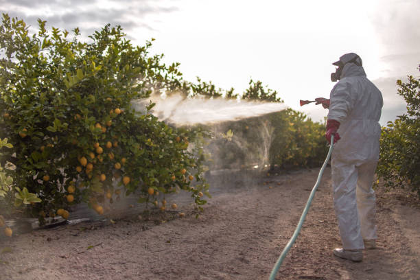 Best Bed Bug Extermination  in Washington, WV