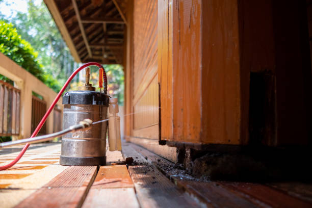 Best Wasp Removal Services  in Washington, WV