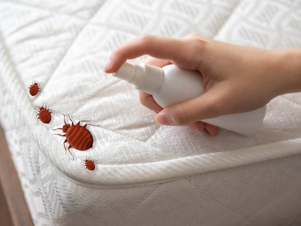Best Residential Pest Control  in Washington, WV