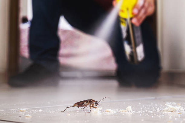 Best Pest Control for Restaurants  in Washington, WV