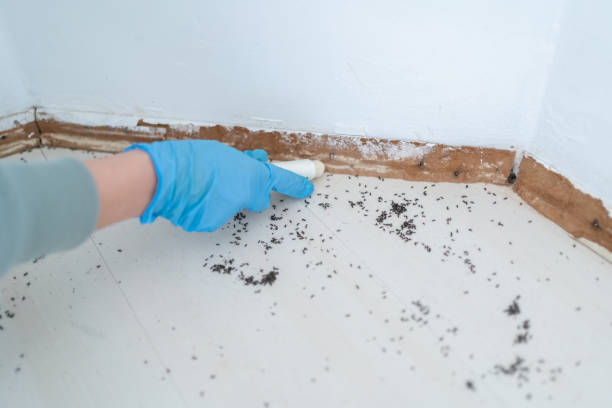 Pest Control for Restaurants in Washington, WV